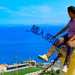 插入阴道视频