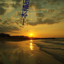 一本精品99久久精品77國産一區二區精品久久呦歐美精品九九