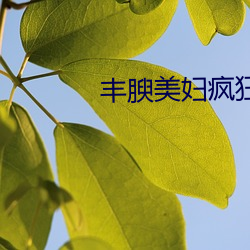 丰腴美妇疯狂迎合
