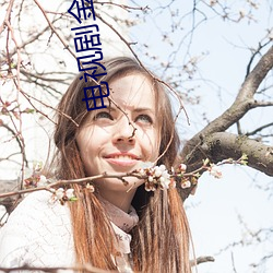 电视剧金蚕丝雨