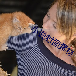 小说封面素材