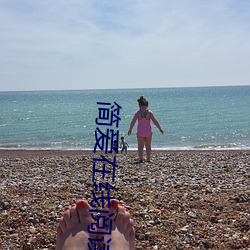 简(簡)爱在(在)线(線)阅读