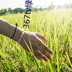 AG真人平台(中国)官方网站