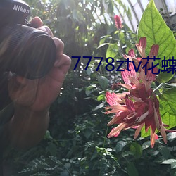 7778ztv花蝶直播下載