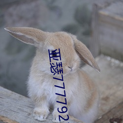 亞瑟7777923m3u8