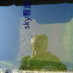 sky看直播的軟件