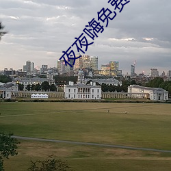 夜夜嗨免费网站