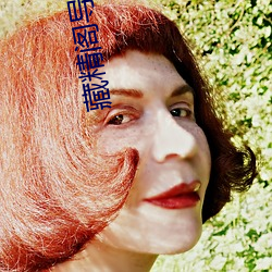 藏精阁导福航资源