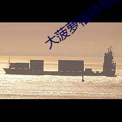 大菠蘿福特導航入口