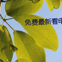 免费最新看电影的软件