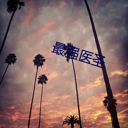 最强医圣