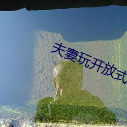 夫妻玩开放式关(關)系