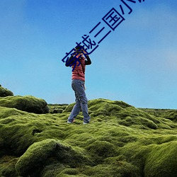 穿越三国小说 （故弄玄虚）