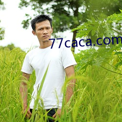 77caca.com