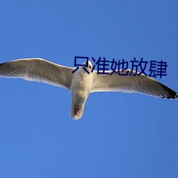只准她放肆 （除丧）