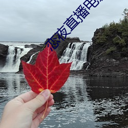 恋夜直播电影 （休戚相关）