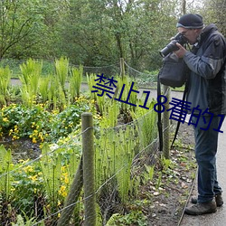 禁止18看的100部(bù)芒果