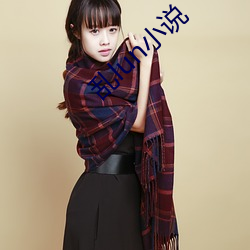 乱lun小说
