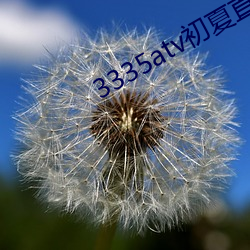 3335atv初夏直播下载