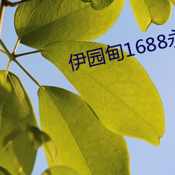 918博天堂·(中国)手机版客户端
