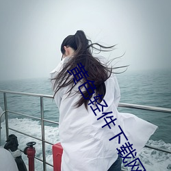 黄色轻件下载网站