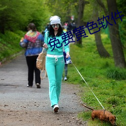 免费黄色软件(件)