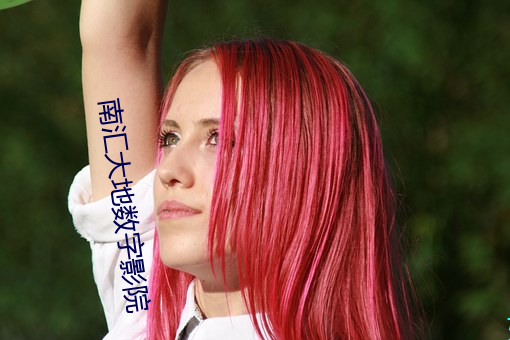南(nn)汇大(dà)地(d)数字影院
