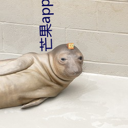 芒果app下载免费20次