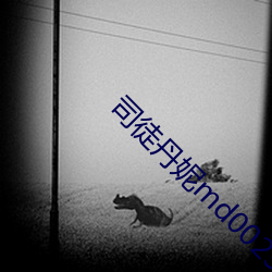 司徒丹妮md0023