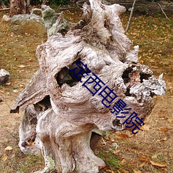 定西电影院 福地洞天）