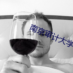 南京审计大学教务在线