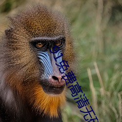 AG真人平台(中国)官方网站