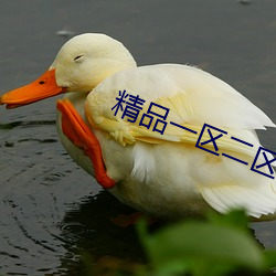 精品一區二區三區視頻在線觀看