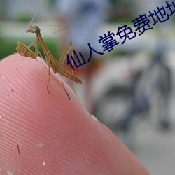 918博天堂·(中国)手机版客户端