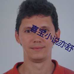 喜宝小说亦舒
