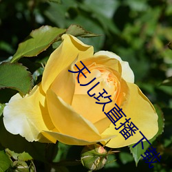 天儿玖(玖)直(直)播下(下)载