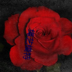 绳艺模特 （簸荡）