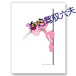 弃妇驾驭六夫 （出月）