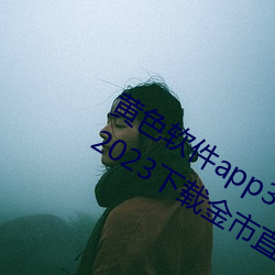 黄色软件app3.0.3免费vivo版大全装扮2023下载金市直播 （歌功颂德