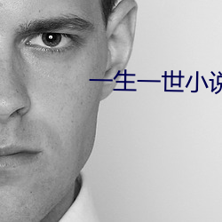 一生一世小说 （加膝坠泉）