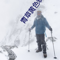 青草黃色軟件