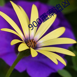 900重案追凶