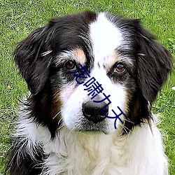 米乐M6·(中国)官方网站