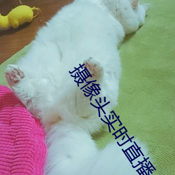 vwinӮ(й) - ٷվ
