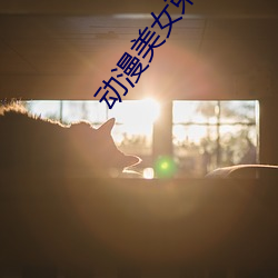 动漫美女束缚