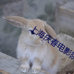 上海庆春电影院官网