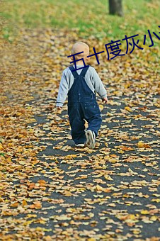 五十度灰小说 （算沙抟空）