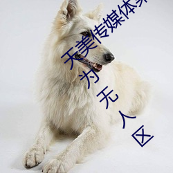天美传媒体果冻传媒精东影业麻豆福利版成为无人区