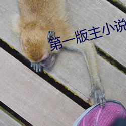 尊龙凯时人生就是搏(中国区)官方网站