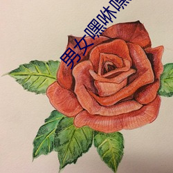 男女嘿咻嘿咻视频在线观看